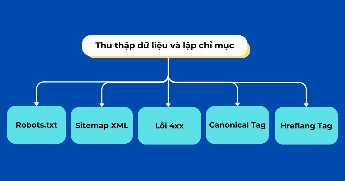 thu thập dữ liệu và lập chỉ mục website