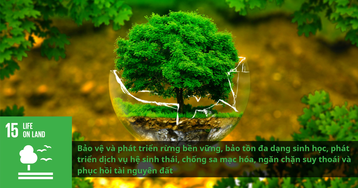 Mục tiêu 15: Tài nguyên và môi trường trên đất liền - Life on land